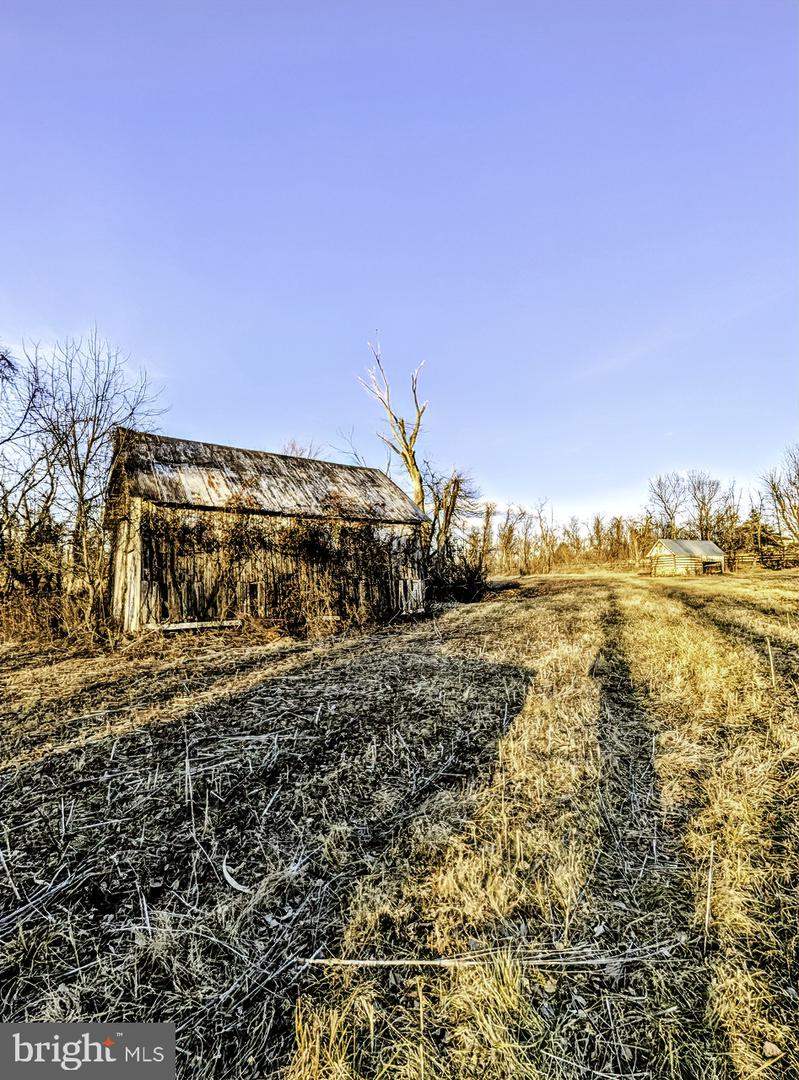 40455 QUARTER BRANCH RD, LOVETTSVILLE, Virginia 20180, ,Land,For sale,40455 QUARTER BRANCH RD,VALO2113386 MLS # VALO2113386 40455 QUARTER BRANCH RD, LOVETTSVILLE, Virginia 20180, ,Land,For sale,40455 QUARTER BRANCH RD,VALO2113386 MLS # VALO2113386