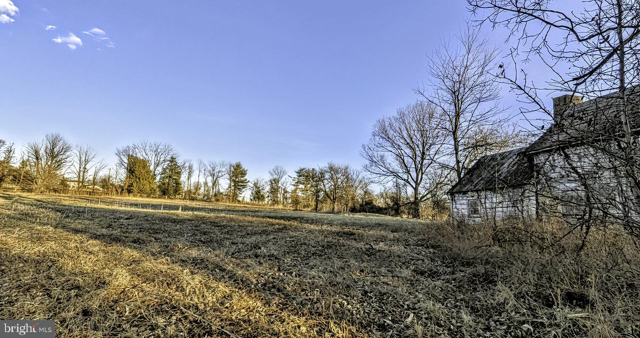 40455 QUARTER BRANCH RD, LOVETTSVILLE, Virginia 20180, ,Land,For sale,40455 QUARTER BRANCH RD,VALO2113386 MLS # VALO2113386 40455 QUARTER BRANCH RD, LOVETTSVILLE, Virginia 20180, ,Land,For sale,40455 QUARTER BRANCH RD,VALO2113386 MLS # VALO2113386