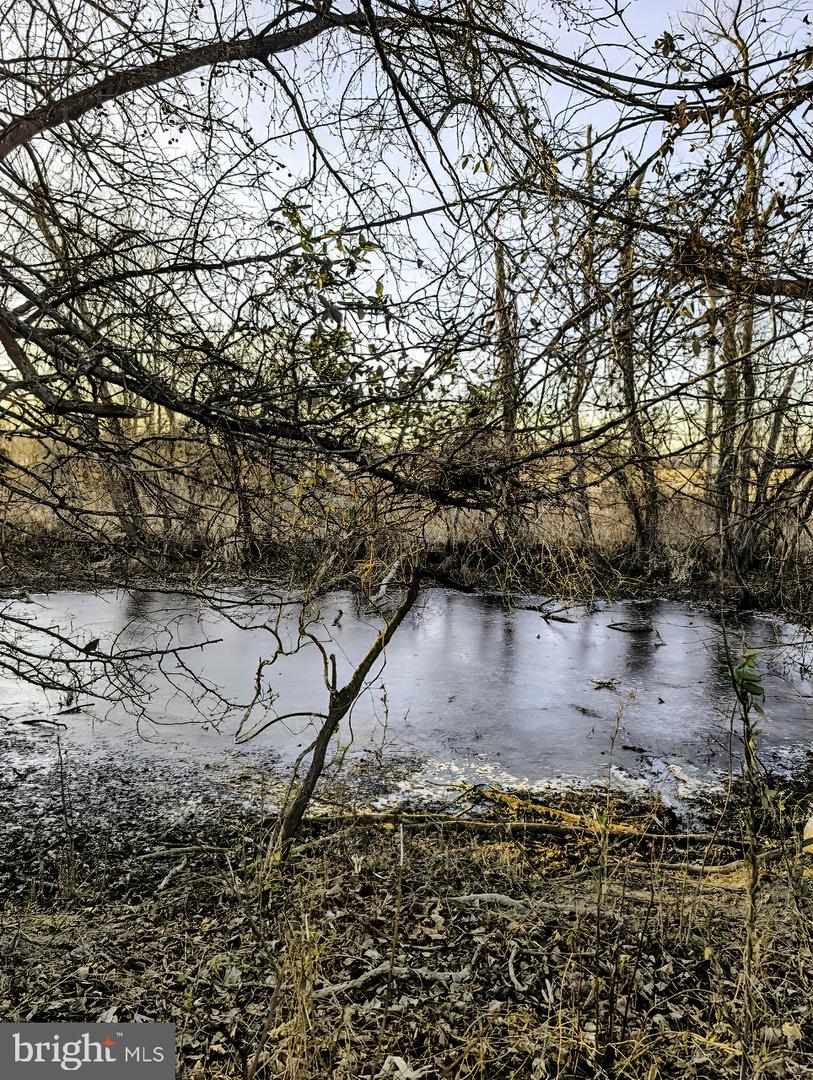 40455 QUARTER BRANCH RD, LOVETTSVILLE, Virginia 20180, ,Land,For sale,40455 QUARTER BRANCH RD,VALO2113386 MLS # VALO2113386 40455 QUARTER BRANCH RD, LOVETTSVILLE, Virginia 20180, ,Land,For sale,40455 QUARTER BRANCH RD,VALO2113386 MLS # VALO2113386