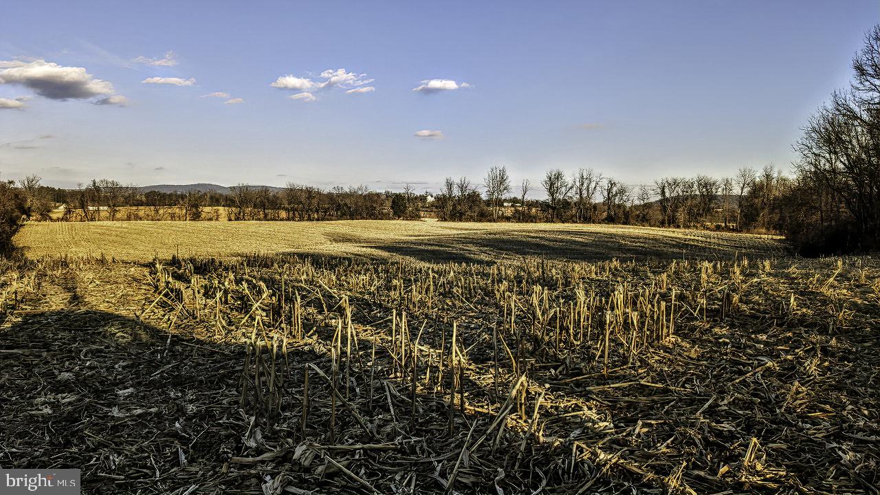 40455 QUARTER BRANCH RD, LOVETTSVILLE, Virginia 20180, ,Land,For sale,40455 QUARTER BRANCH RD,VALO2113386 MLS # VALO2113386 40455 QUARTER BRANCH RD, LOVETTSVILLE, Virginia 20180, ,Land,For sale,40455 QUARTER BRANCH RD,VALO2113386 MLS # VALO2113386