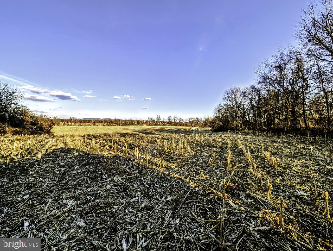 40455 QUARTER BRANCH RD, LOVETTSVILLE, Virginia 20180, ,Land,For sale,40455 QUARTER BRANCH RD,VALO2113386 MLS # VALO2113386 40455 QUARTER BRANCH RD, LOVETTSVILLE, Virginia 20180, ,Land,For sale,40455 QUARTER BRANCH RD,VALO2113386 MLS # VALO2113386