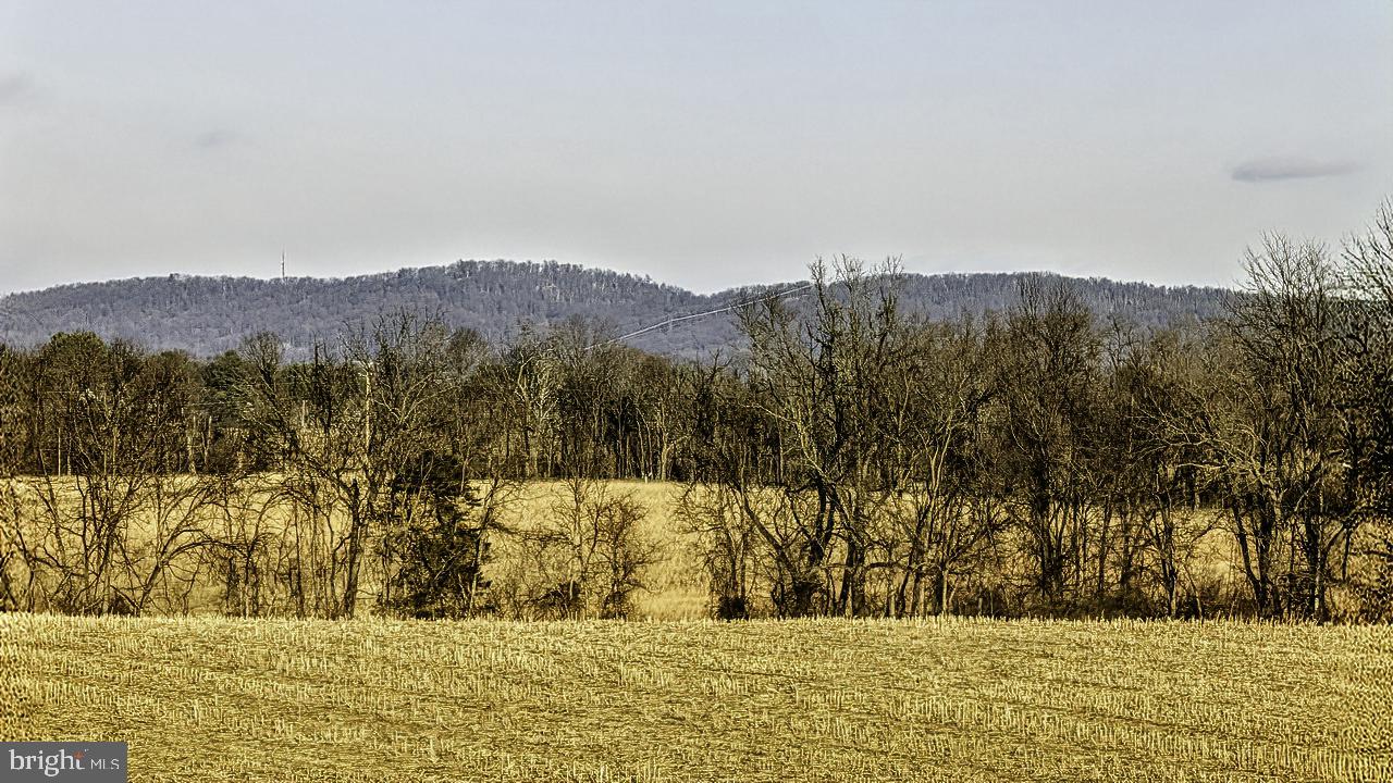 40455 QUARTER BRANCH RD, LOVETTSVILLE, Virginia 20180, ,Land,For sale,40455 QUARTER BRANCH RD,VALO2113386 MLS # VALO2113386 40455 QUARTER BRANCH RD, LOVETTSVILLE, Virginia 20180, ,Land,For sale,40455 QUARTER BRANCH RD,VALO2113386 MLS # VALO2113386