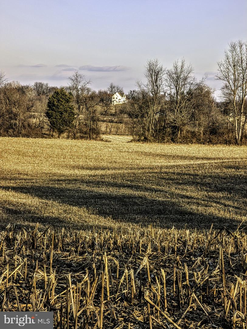 40455 QUARTER BRANCH RD, LOVETTSVILLE, Virginia 20180, ,Land,For sale,40455 QUARTER BRANCH RD,VALO2113386 MLS # VALO2113386 40455 QUARTER BRANCH RD, LOVETTSVILLE, Virginia 20180, ,Land,For sale,40455 QUARTER BRANCH RD,VALO2113386 MLS # VALO2113386