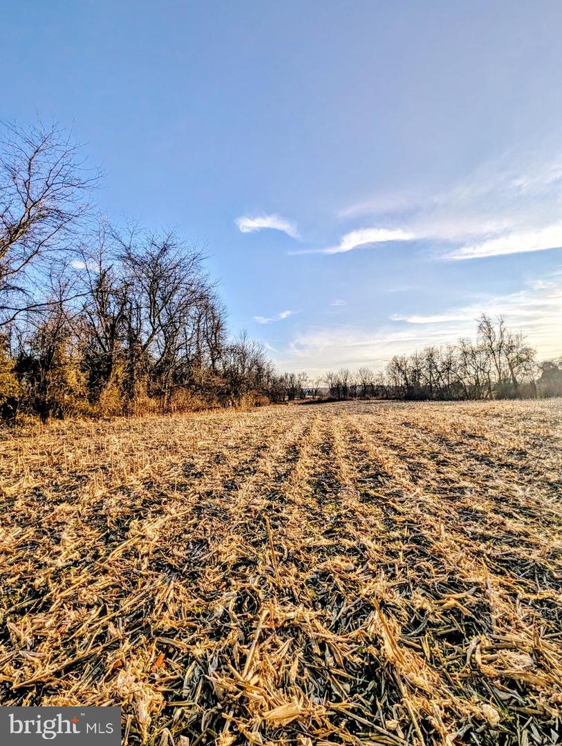 40455 QUARTER BRANCH RD, LOVETTSVILLE, Virginia 20180, ,Land,For sale,40455 QUARTER BRANCH RD,VALO2113386 MLS # VALO2113386 40455 QUARTER BRANCH RD, LOVETTSVILLE, Virginia 20180, ,Land,For sale,40455 QUARTER BRANCH RD,VALO2113386 MLS # VALO2113386