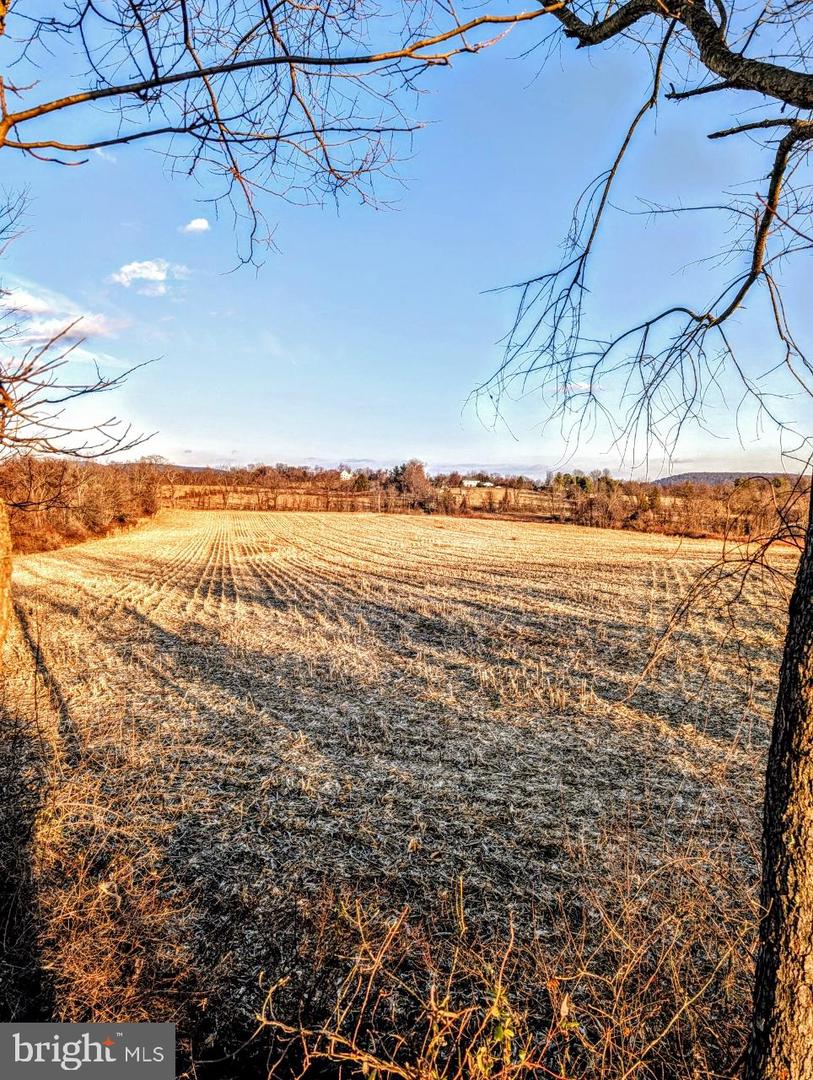 40455 QUARTER BRANCH RD, LOVETTSVILLE, Virginia 20180, ,Land,For sale,40455 QUARTER BRANCH RD,VALO2113386 MLS # VALO2113386 40455 QUARTER BRANCH RD, LOVETTSVILLE, Virginia 20180, ,Land,For sale,40455 QUARTER BRANCH RD,VALO2113386 MLS # VALO2113386