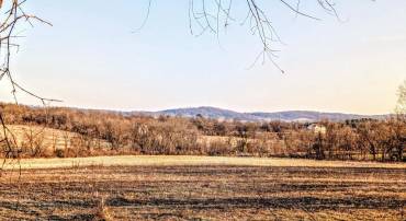 40455 QUARTER BRANCH RD, LOVETTSVILLE, Virginia 20180, ,Land,For sale,40455 QUARTER BRANCH RD,VALO2113386 MLS # VALO2113386