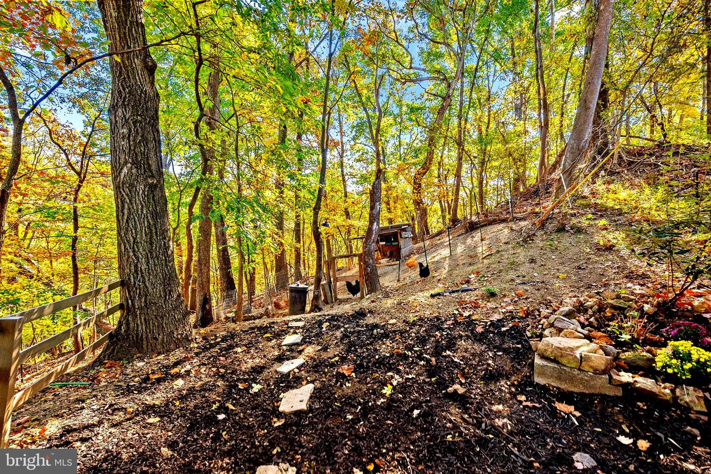 622 TIMBER LN, BLUEMONT, Virginia 20135, 3 Bedrooms Bedrooms, 5 Rooms Rooms,2 BathroomsBathrooms,Residential,For sale,622 TIMBER LN,VACL2006182 MLS # VACL2006182 622 TIMBER LN, BLUEMONT, Virginia 20135, 3 Bedrooms Bedrooms, 5 Rooms Rooms,2 BathroomsBathrooms,Residential,For sale,622 TIMBER LN,VACL2006182 MLS # VACL2006182
