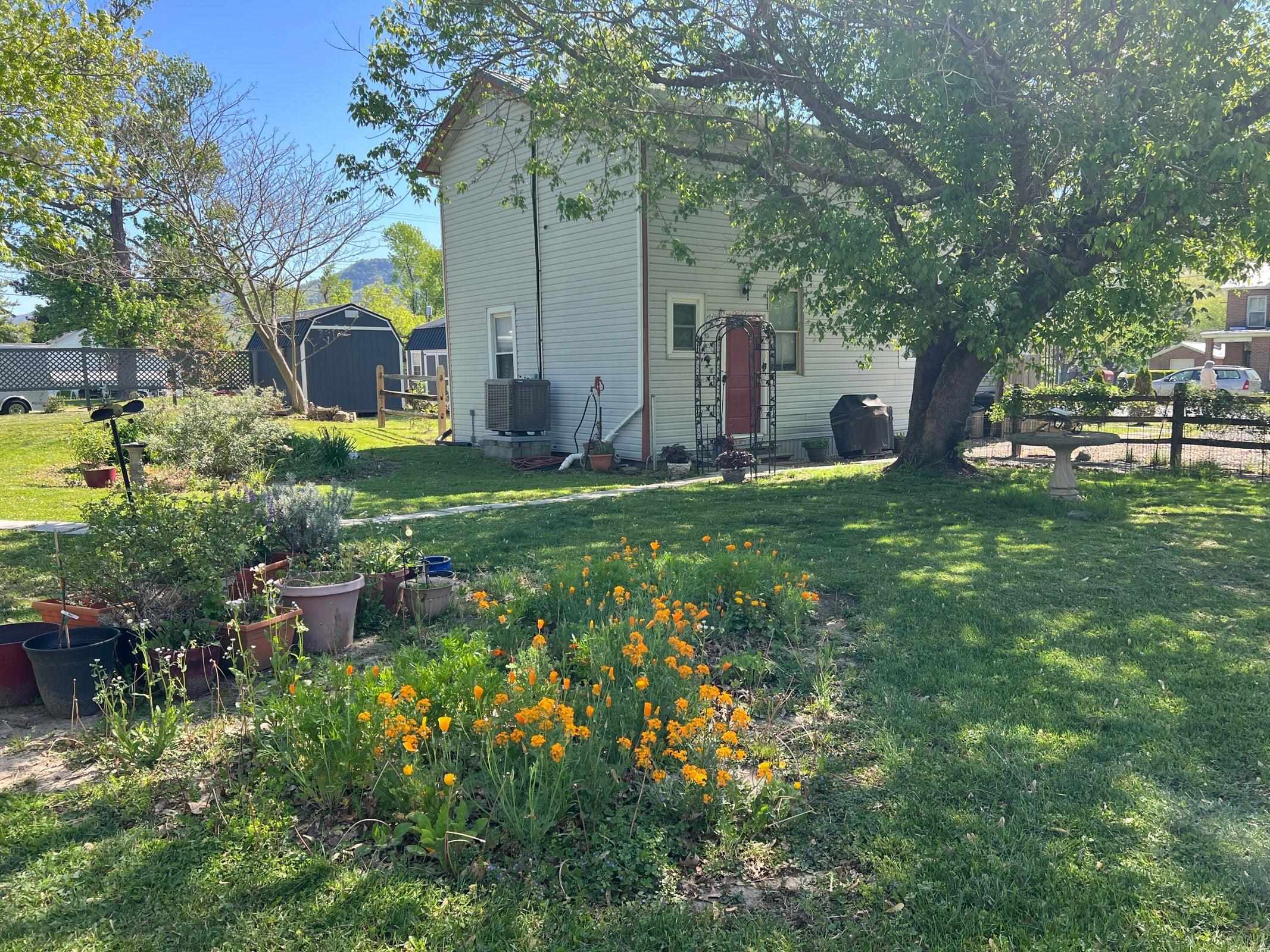 Flowers and gardens galore. Flowers and gardens galore.