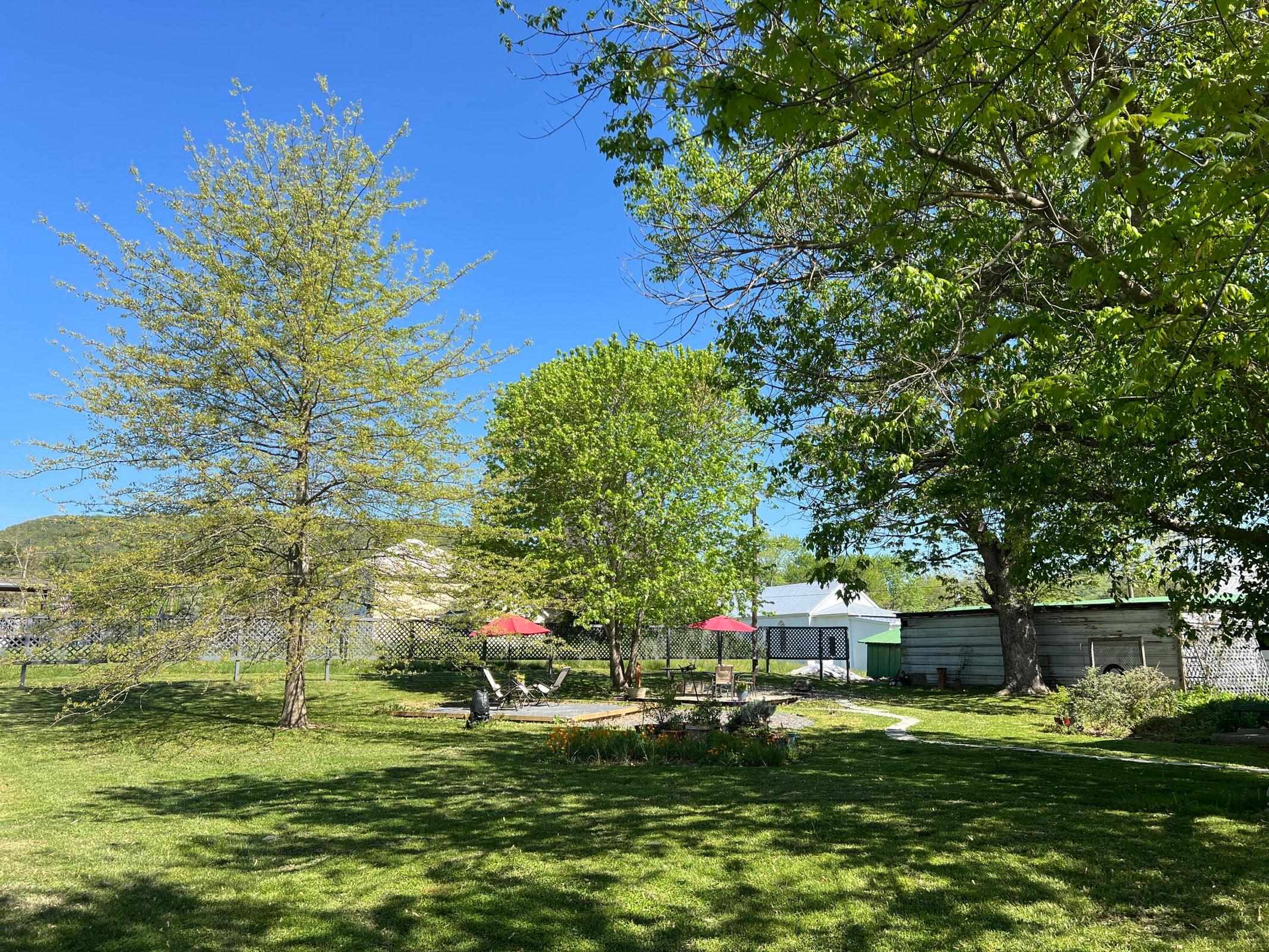 4 city lots offers a lot of yard space -- for gardens and for play. 4 city lots offers a lot of yard space -- for gardens and for play.