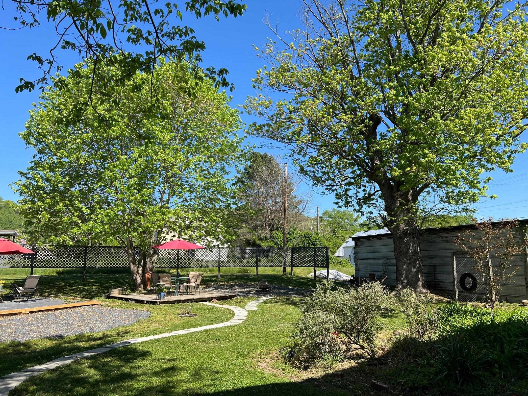 Mature trees in the back yard. Mature trees in the back yard.