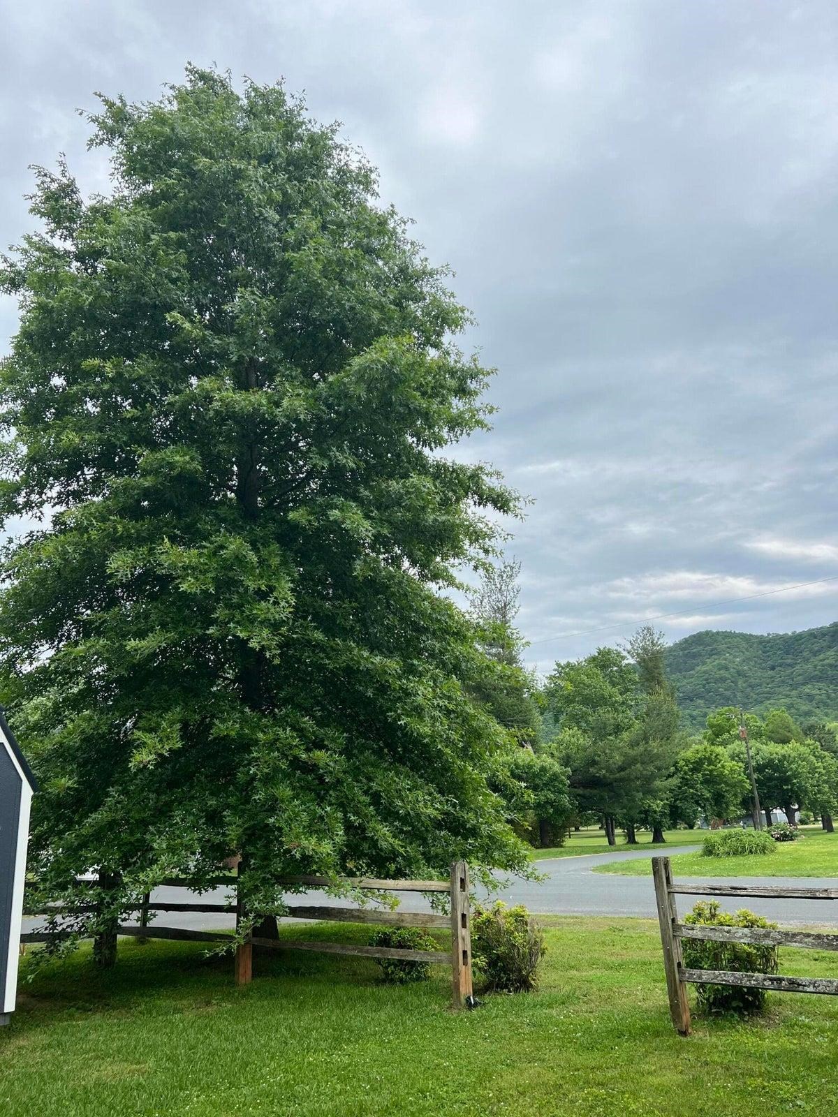 Sellers installed the board fencing. Sellers installed the board fencing.