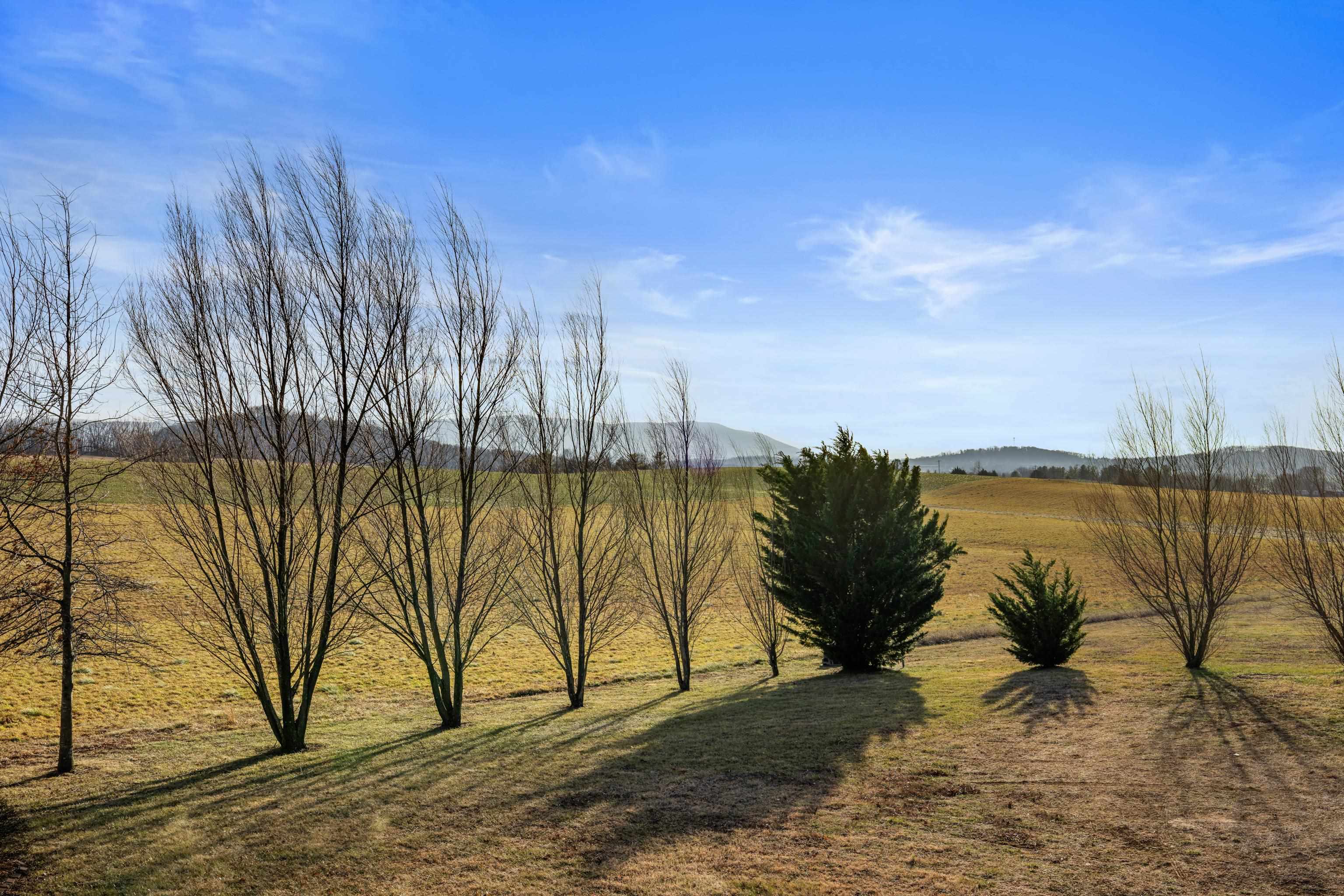 3485 BARTERBROOK RD, STAUNTON, Virginia 24401, 7 Bedrooms Bedrooms, ,5 BathroomsBathrooms,Residential,3485 BARTERBROOK RD,672194 MLS # 672194 3485 BARTERBROOK RD, STAUNTON, Virginia 24401, 7 Bedrooms Bedrooms, ,5 BathroomsBathrooms,Residential,3485 BARTERBROOK RD,672194 MLS # 672194