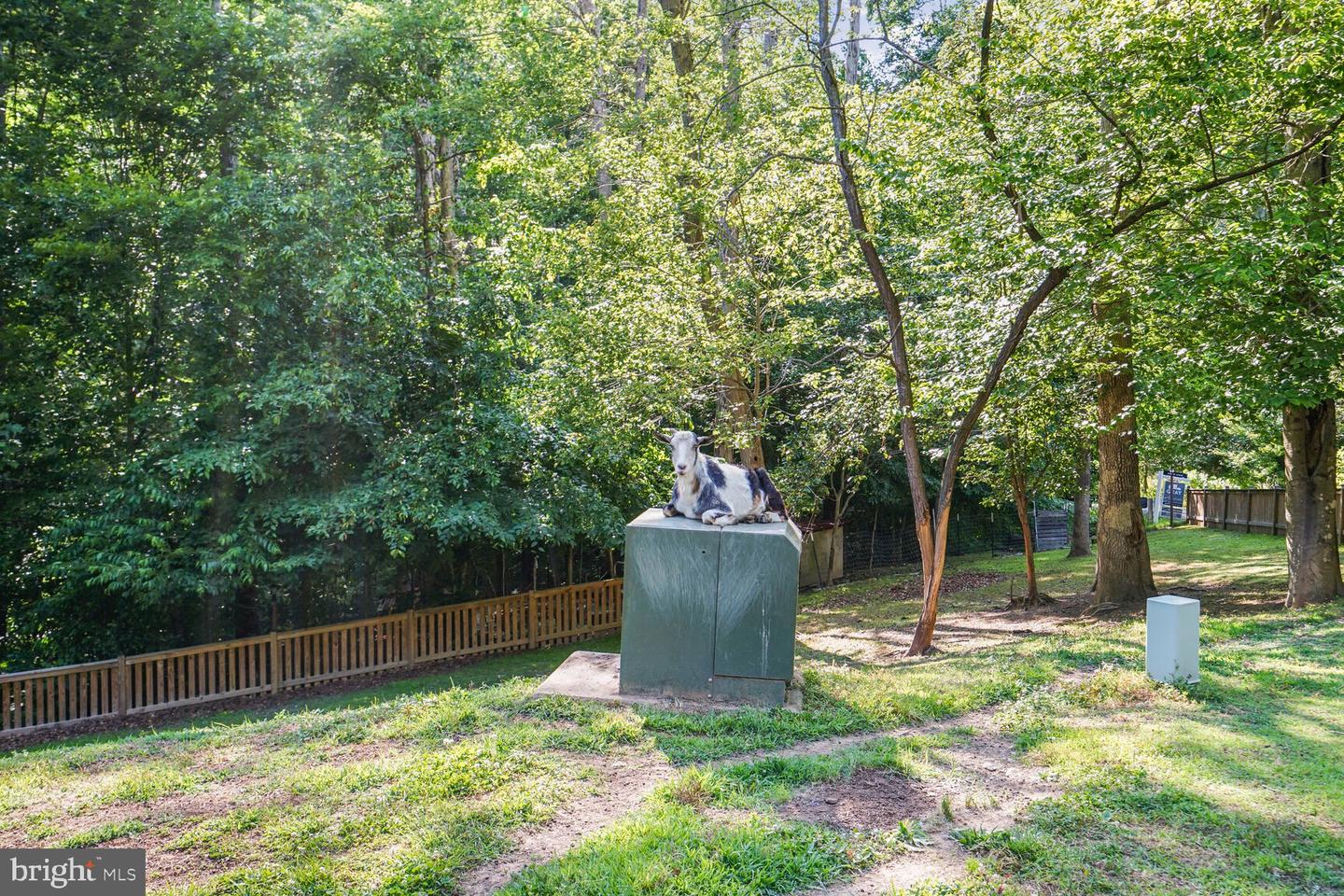 15050 RUMSON PL, MANASSAS, Virginia 20111, 4 Bedrooms Bedrooms, ,3 BathroomsBathrooms,Residential,For sale,15050 RUMSON PL,VAPW2109226 MLS # VAPW2109226