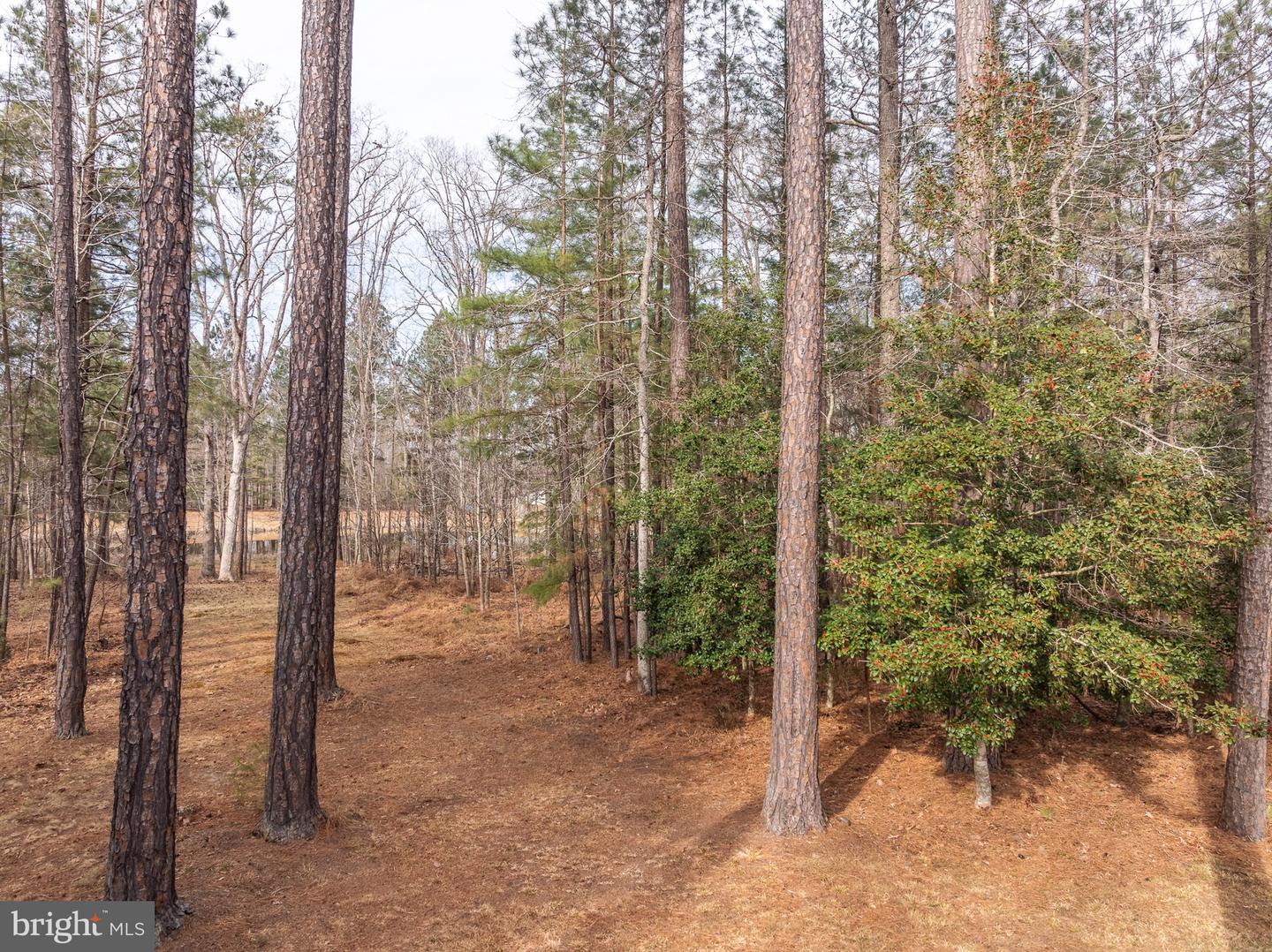 4143 WATERSWATCH DR, MIDLOTHIAN, Virginia 23113, 5 Bedrooms Bedrooms, 14 Rooms Rooms,4 BathroomsBathrooms,Residential,For sale,4143 WATERSWATCH DR,VACF2001346 MLS # VACF2001346