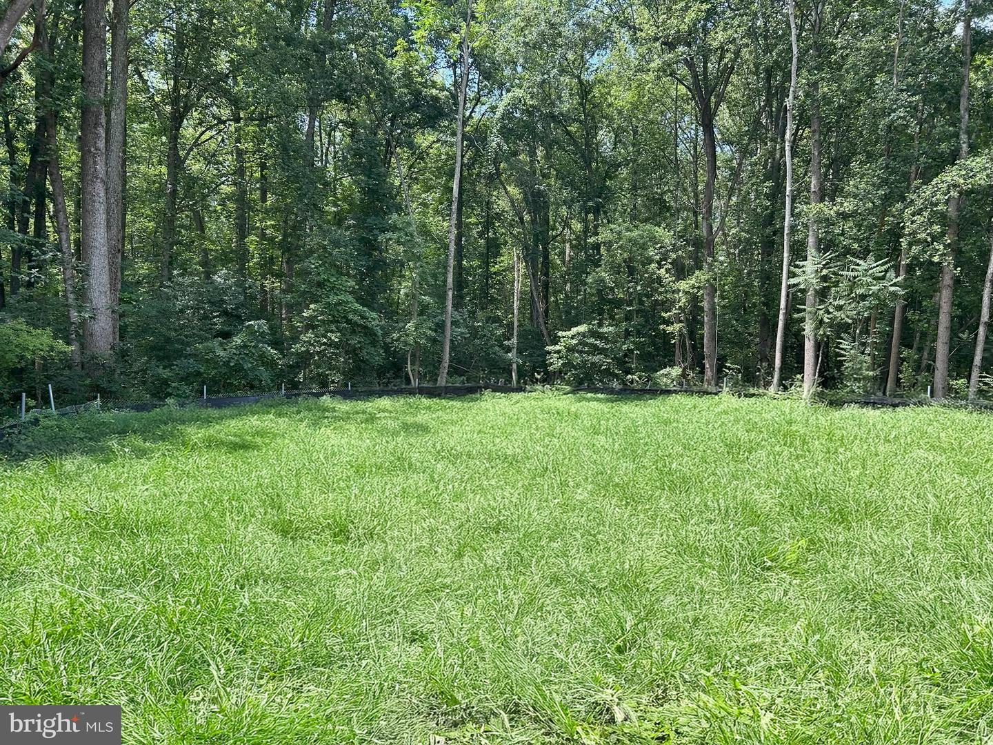 292 COLEBROOK RD, FREDERICKSBURG, Virginia 22405, 4 Bedrooms Bedrooms, 9 Rooms Rooms,3 BathroomsBathrooms,Residential,For sale,292 COLEBROOK RD,VAST2035062 MLS # VAST2035062 292 COLEBROOK RD, FREDERICKSBURG, Virginia 22405, 4 Bedrooms Bedrooms, 9 Rooms Rooms,3 BathroomsBathrooms,Residential,For sale,292 COLEBROOK RD,VAST2035062 MLS # VAST2035062