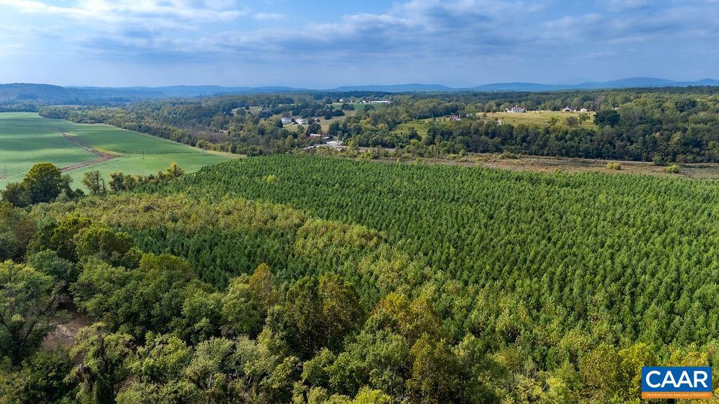 TBD JAMES RIVER RD, WINGINA, Virginia 24599, ,Land,For sale,TBD JAMES RIVER RD,668767 MLS # 668767