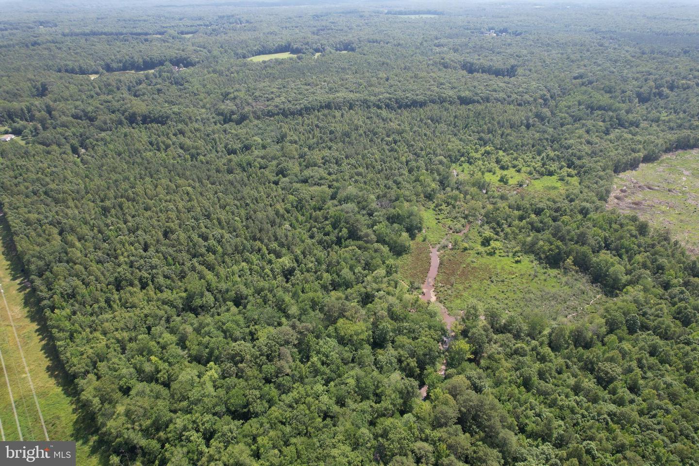 0 COUNTYLINE CHURCH RD, WOODFORD, Virginia 22580, ,Land,For sale,0 COUNTYLINE CHURCH RD,VACV2009352 MLS # VACV2009352 0 COUNTYLINE CHURCH RD, WOODFORD, Virginia 22580, ,Land,For sale,0 COUNTYLINE CHURCH RD,VACV2009352 MLS # VACV2009352