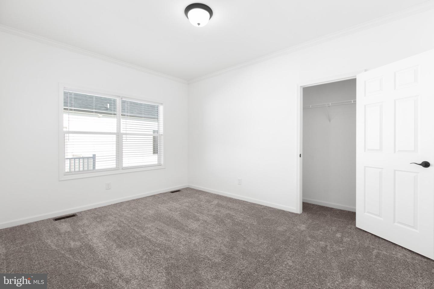 824 MINERAL AVE, MINERAL, Virginia 23117, 3 Bedrooms Bedrooms, ,2 BathroomsBathrooms,Residential,For sale,824 MINERAL AVE,VALA2009098 MLS # VALA2009098 824 MINERAL AVE, MINERAL, Virginia 23117, 3 Bedrooms Bedrooms, ,2 BathroomsBathrooms,Residential,For sale,824 MINERAL AVE,VALA2009098 MLS # VALA2009098