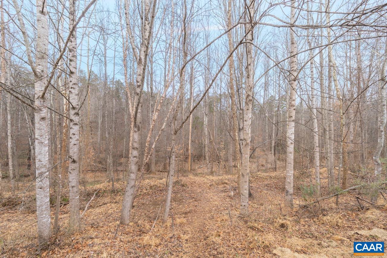 3262 TURNBERRY CIR, CHARLOTTESVILLE, Virginia 22911, 6 Bedrooms Bedrooms, ,4 BathroomsBathrooms,Residential,For sale,3262 TURNBERRY CIR,672211 MLS # 672211 3262 TURNBERRY CIR, CHARLOTTESVILLE, Virginia 22911, 6 Bedrooms Bedrooms, ,4 BathroomsBathrooms,Residential,For sale,3262 TURNBERRY CIR,672211 MLS # 672211