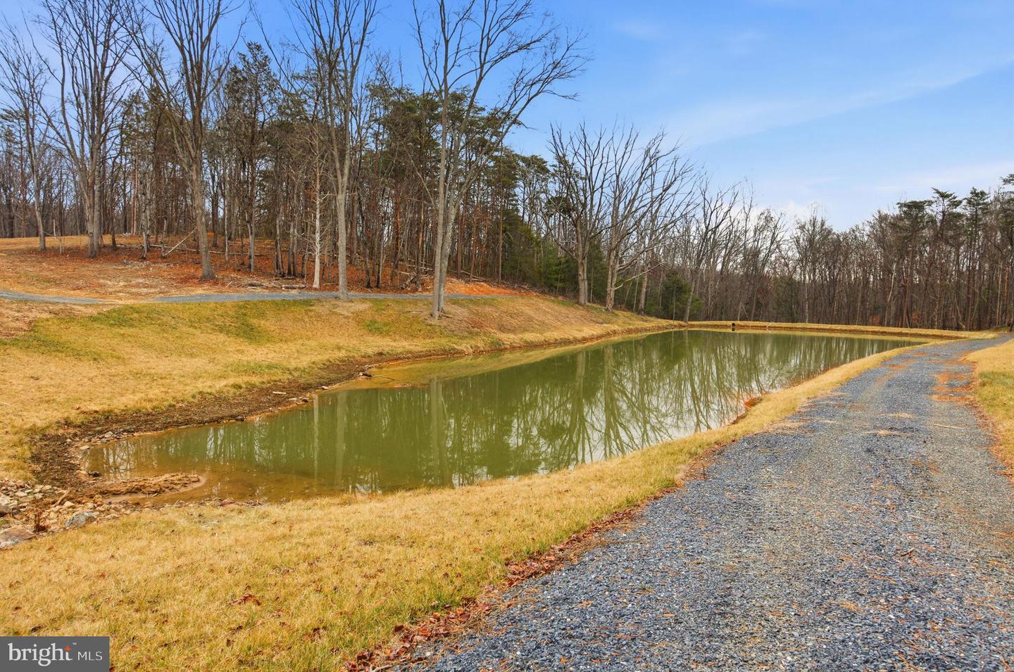 709 STULTZ GAP RD, EDINBURG, Virginia 22824, ,Land,For sale,709 STULTZ GAP RD,VASH2013258 MLS # VASH2013258