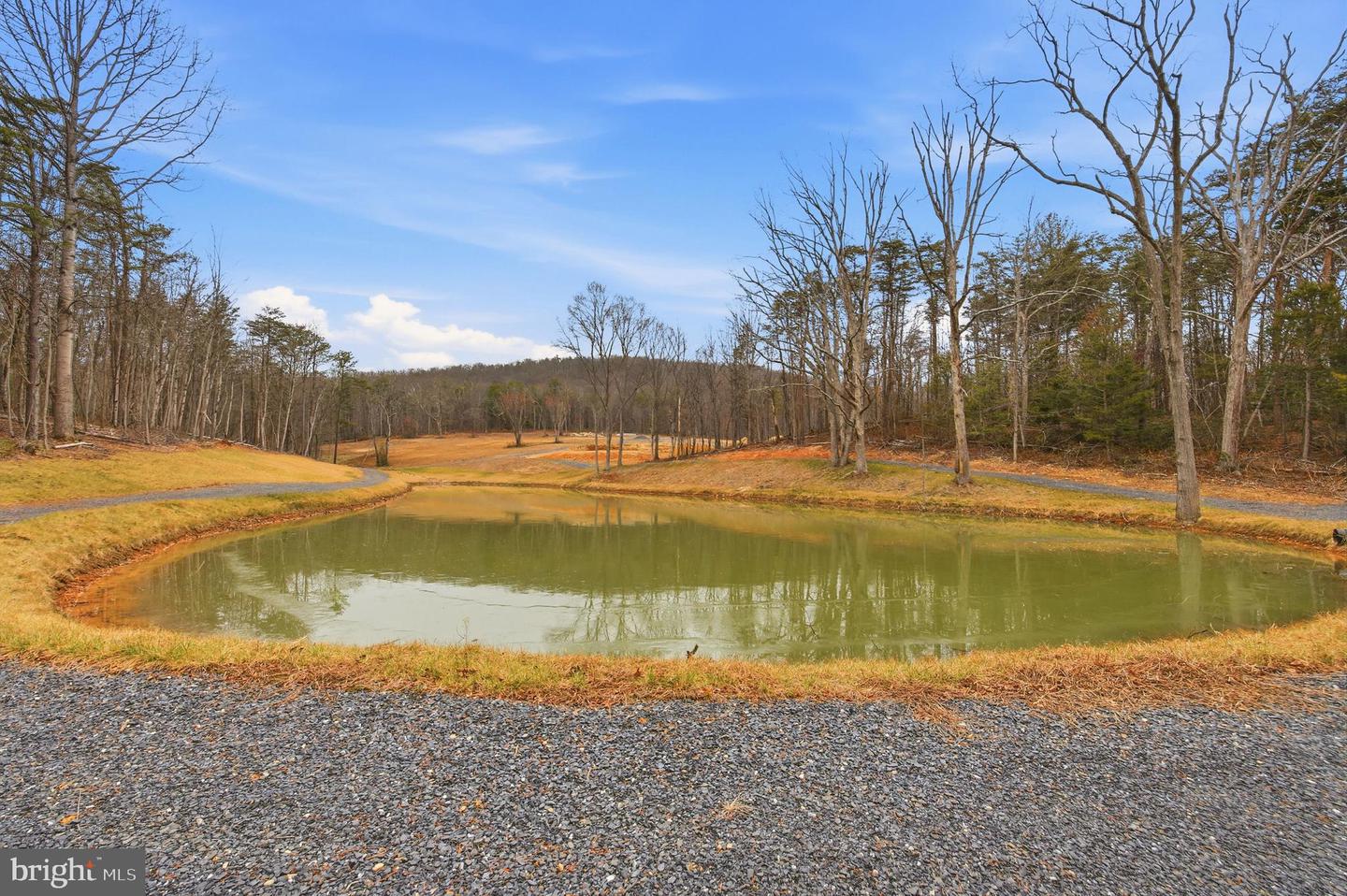 709 STULTZ GAP RD, EDINBURG, Virginia 22824, ,Land,For sale,709 STULTZ GAP RD,VASH2013258 MLS # VASH2013258