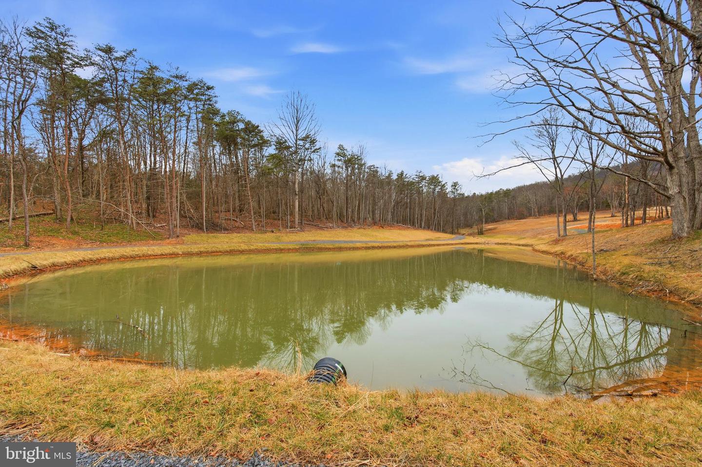 709 STULTZ GAP RD, EDINBURG, Virginia 22824, ,Land,For sale,709 STULTZ GAP RD,VASH2013258 MLS # VASH2013258