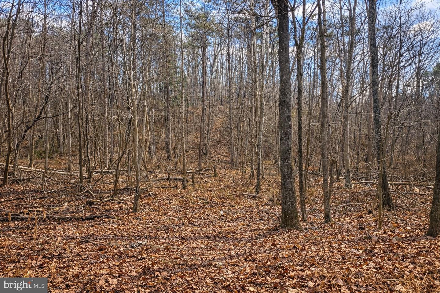 709 STULTZ GAP RD, EDINBURG, Virginia 22824, ,Land,For sale,709 STULTZ GAP RD,VASH2013258 MLS # VASH2013258