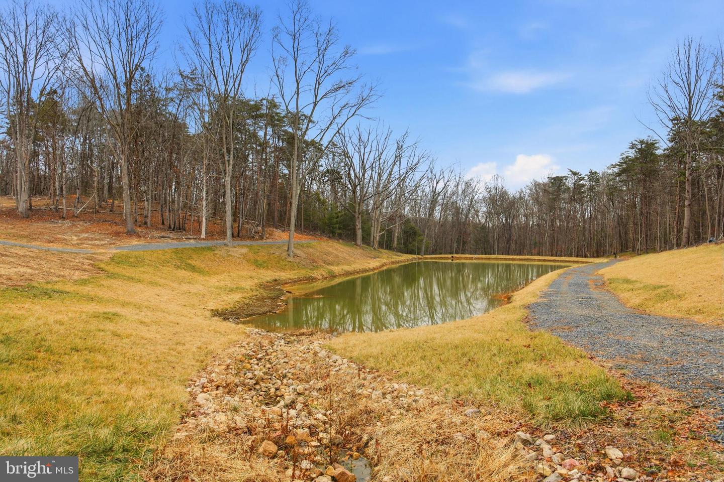 709 STULTZ GAP RD, EDINBURG, Virginia 22824, ,Land,For sale,709 STULTZ GAP RD,VASH2013258 MLS # VASH2013258