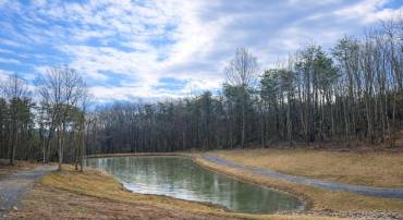 709 STULTZ GAP RD, EDINBURG, Virginia 22824, ,Land,For sale,709 STULTZ GAP RD,VASH2013258 MLS # VASH2013258