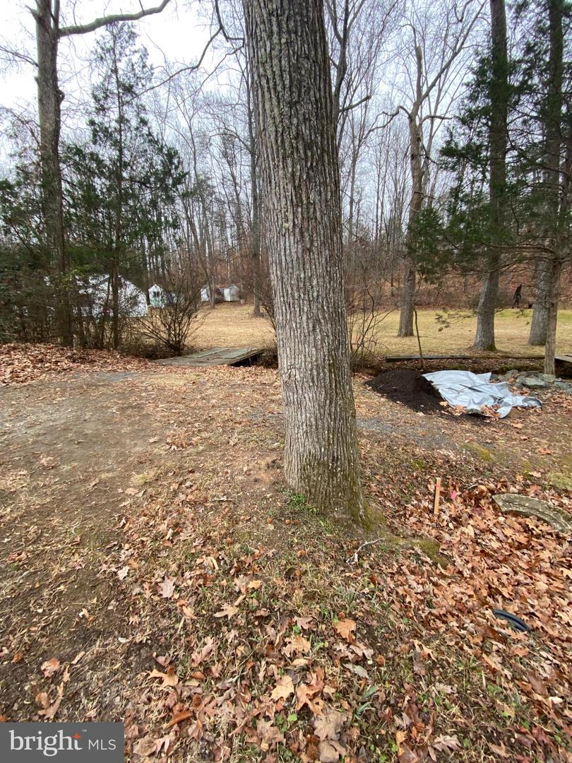 0 JUMPING BRANCH RD, STAFFORD, Virginia 22554, ,Land,For sale,0 JUMPING BRANCH RD,VAST2045032 MLS # VAST2045032
