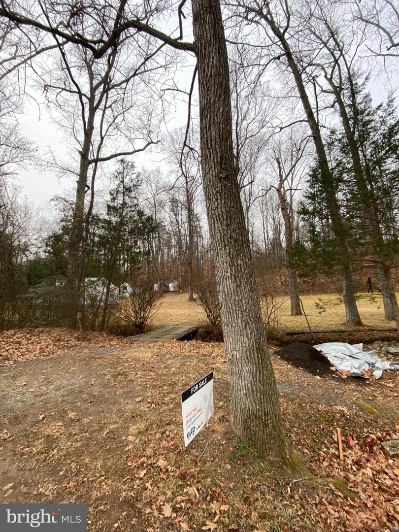 0 JUMPING BRANCH RD, STAFFORD, Virginia 22554, ,Land,For sale,0 JUMPING BRANCH RD,VAST2045032 MLS # VAST2045032