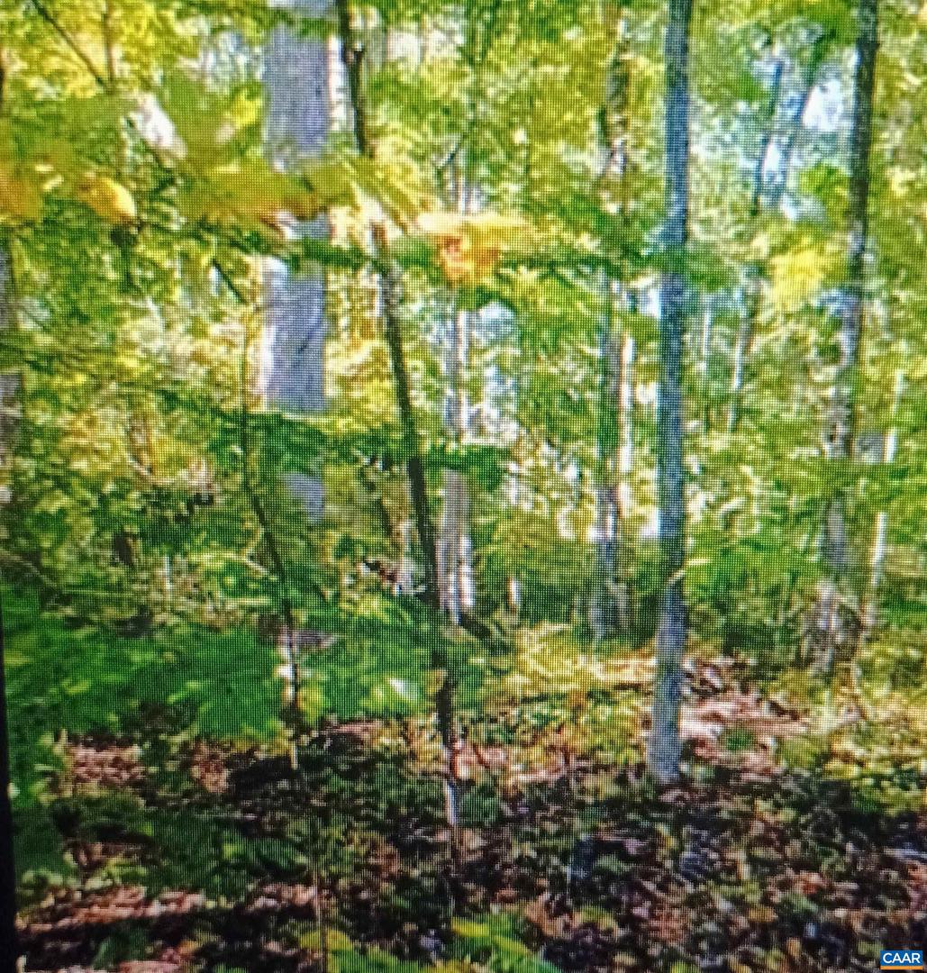 LOT 1154 FERNDALE DR #1154, LOUISA, Virginia 23093, ,Land,For sale,LOT 1154 FERNDALE DR #1154,672241 MLS # 672241 LOT 1154 FERNDALE DR #1154, LOUISA, Virginia 23093, ,Land,For sale,LOT 1154 FERNDALE DR #1154,672241 MLS # 672241