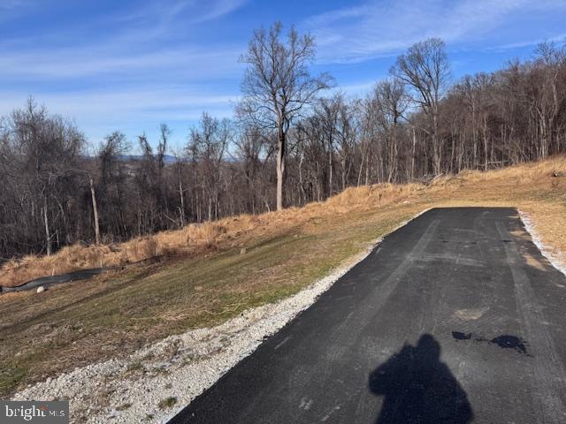 12820 FURNACE MOUNTAIN RD, LOVETTSVILLE, Virginia 20180, ,Land,For sale,12820 FURNACE MOUNTAIN RD,VALO2113488 MLS # VALO2113488