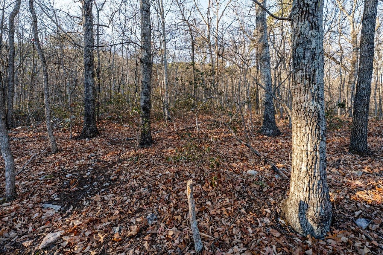 240 CONGERS LN, MCGAHEYSVILLE, Virginia 22840, 2 Bedrooms Bedrooms, ,2 BathroomsBathrooms,Residential,Nature-Loving Cozy Bungalow,240 CONGERS LN,672215 MLS # 672215