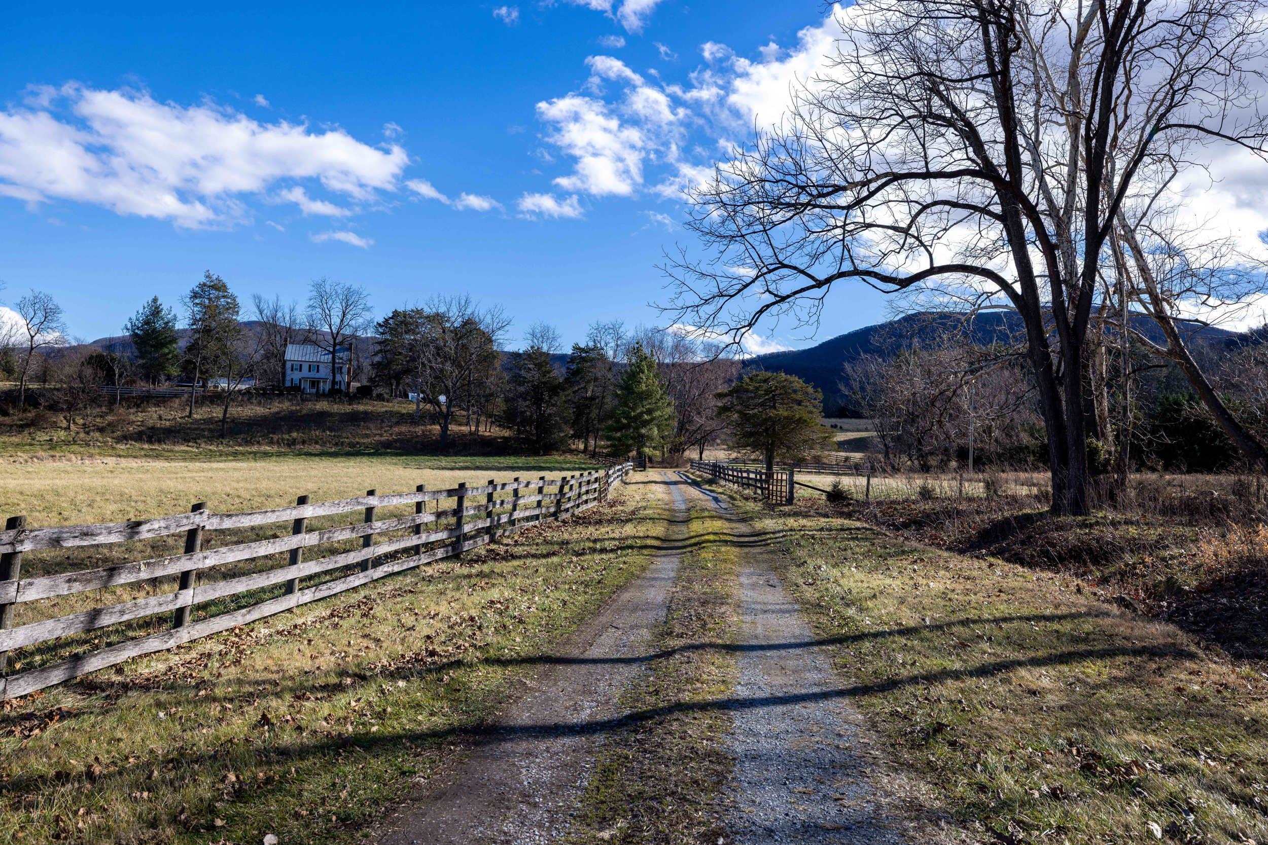 1159 PINE GROVE RD, STANLEY, Virginia 22851, 3 Bedrooms Bedrooms, ,1 BathroomBathrooms,Residential,1159 PINE GROVE RD,672228 MLS # 672228