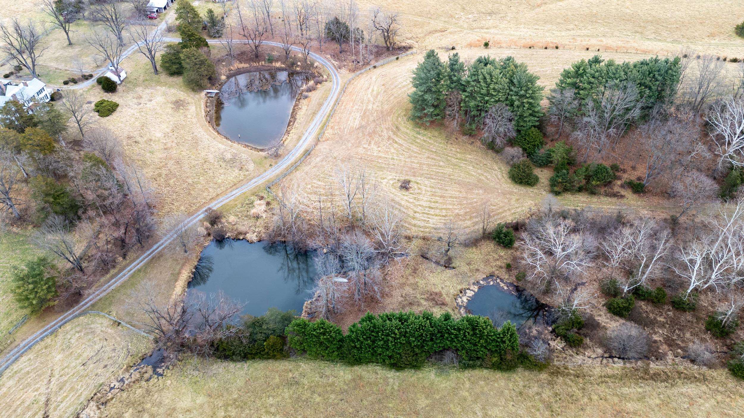 1159 PINE GROVE RD, STANLEY, Virginia 22851, 3 Bedrooms Bedrooms, ,1 BathroomBathrooms,Residential,1159 PINE GROVE RD,672228 MLS # 672228