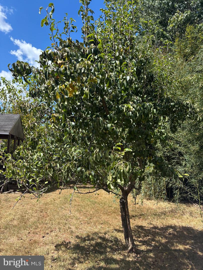 8310 ROLLING RD, MANASSAS, Virginia 20110, 6 Bedrooms Bedrooms, ,3 BathroomsBathrooms,Residential,For sale,8310 ROLLING RD,VAPW2108710 MLS # VAPW2108710