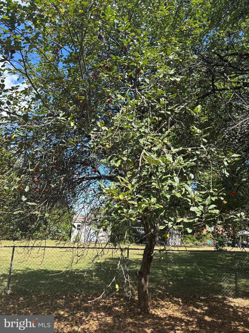 8310 ROLLING RD, MANASSAS, Virginia 20110, 6 Bedrooms Bedrooms, ,3 BathroomsBathrooms,Residential,For sale,8310 ROLLING RD,VAPW2108710 MLS # VAPW2108710