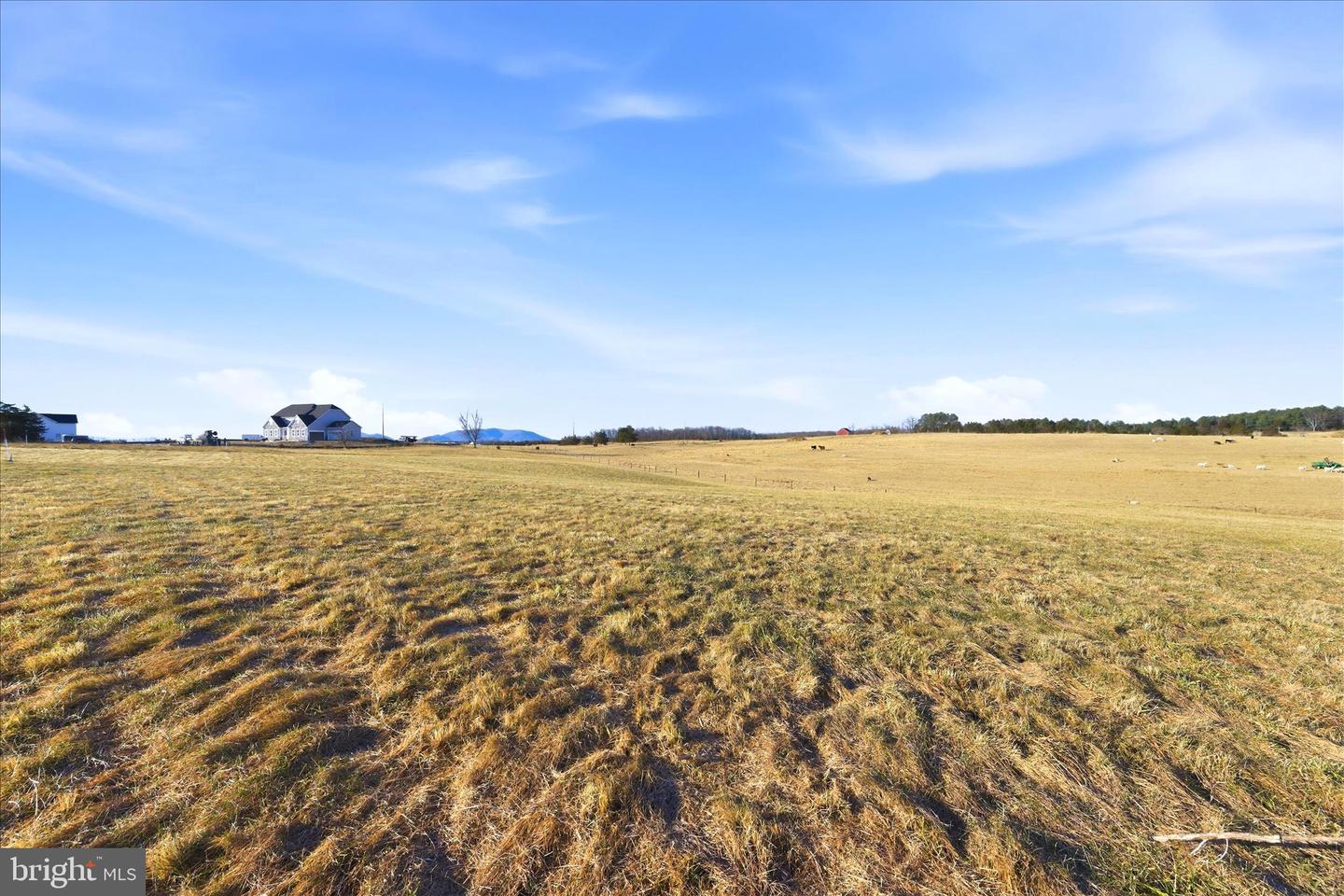 LOT 8 GRIM RD, STEPHENS CITY, Virginia 22655, 4 Bedrooms Bedrooms, ,3 BathroomsBathrooms,Residential,For sale,LOT 8 GRIM RD,VAFV2038740 MLS # VAFV2038740