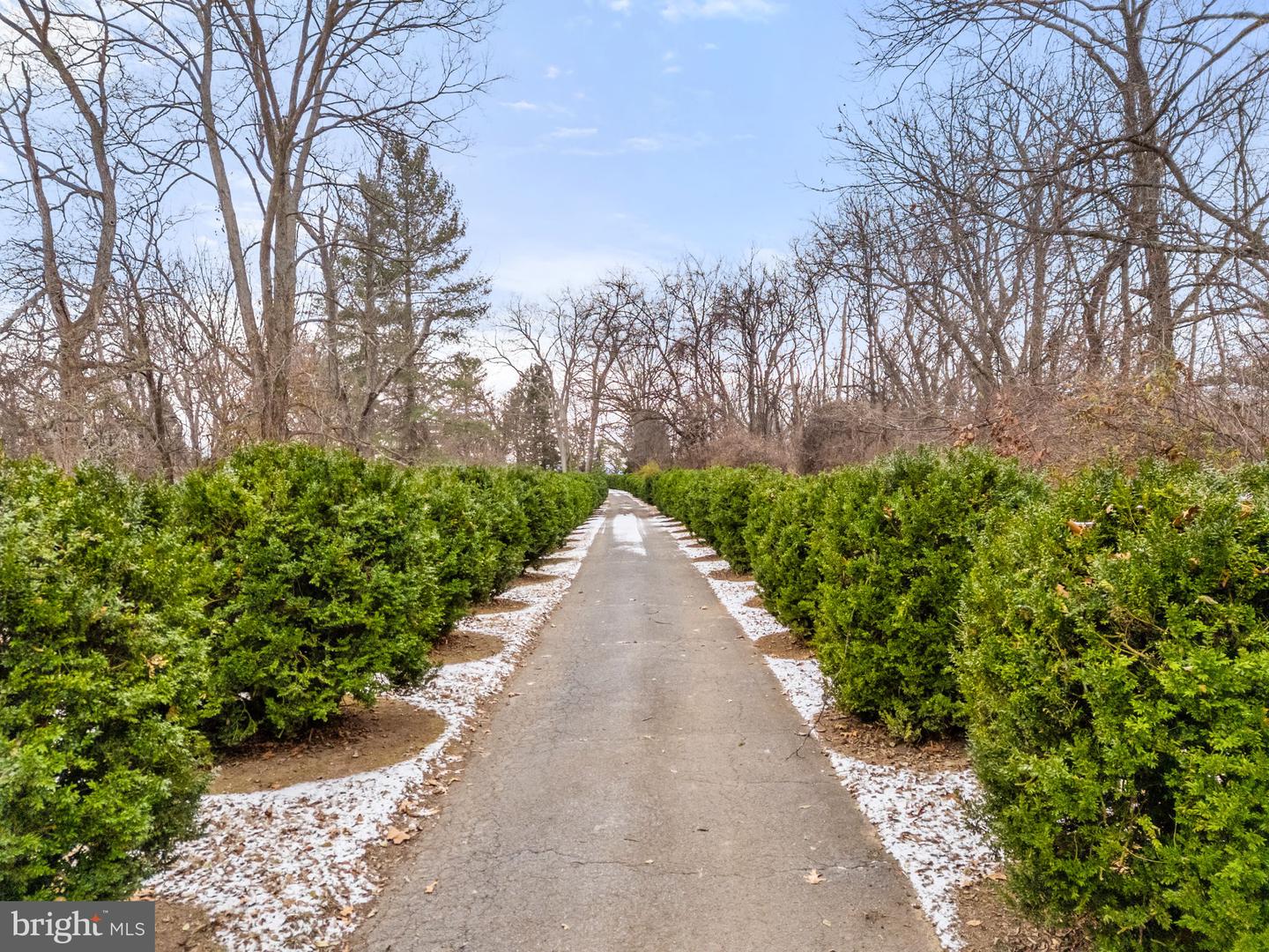 374 CLAY HILL RD, BOYCE, Virginia 22620, 2 Bedrooms Bedrooms, 7 Rooms Rooms,2 BathroomsBathrooms,Residential,For sale,374 CLAY HILL RD,VACL2006280 MLS # VACL2006280 374 CLAY HILL RD, BOYCE, Virginia 22620, 2 Bedrooms Bedrooms, 7 Rooms Rooms,2 BathroomsBathrooms,Residential,For sale,374 CLAY HILL RD,VACL2006280 MLS # VACL2006280