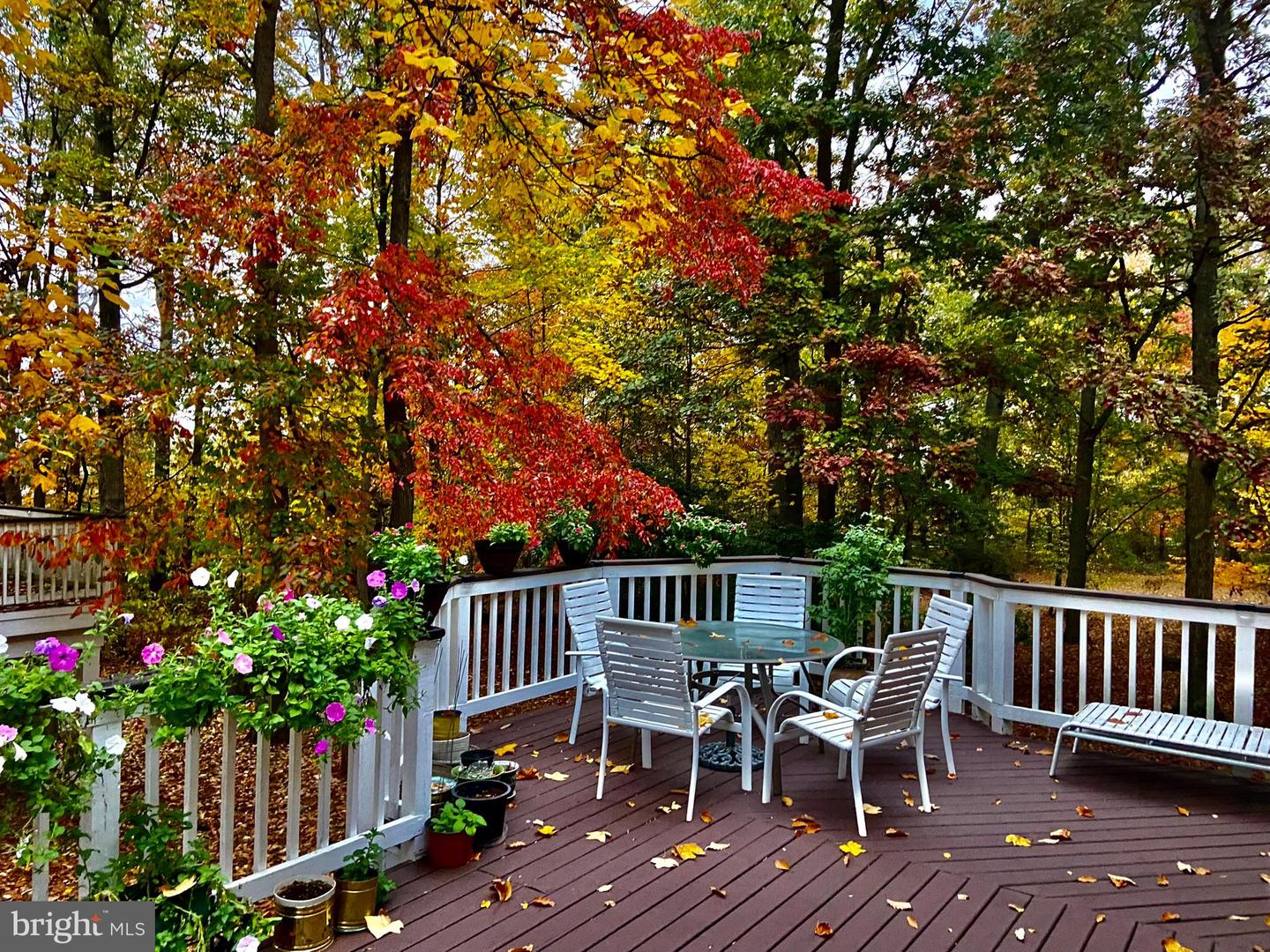 20503 TANAGER PL, LEESBURG, Virginia 20175, 5 Bedrooms Bedrooms, ,3 BathroomsBathrooms,Residential,For sale,20503 TANAGER PL,VALO2112562 MLS # VALO2112562