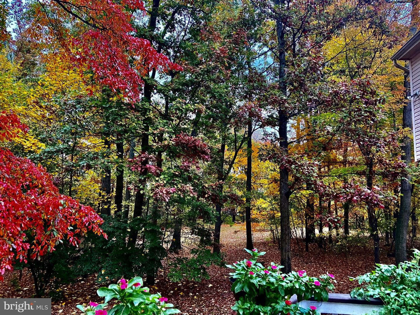 20503 TANAGER PL, LEESBURG, Virginia 20175, 5 Bedrooms Bedrooms, ,3 BathroomsBathrooms,Residential,For sale,20503 TANAGER PL,VALO2112562 MLS # VALO2112562