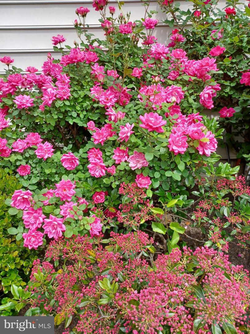 12096 MAIDENHAIR DR, GAINESVILLE, Virginia 20155, 4 Bedrooms Bedrooms, ,3 BathroomsBathrooms,Residential,For sale,12096 MAIDENHAIR DR,VAPW2109840 MLS # VAPW2109840