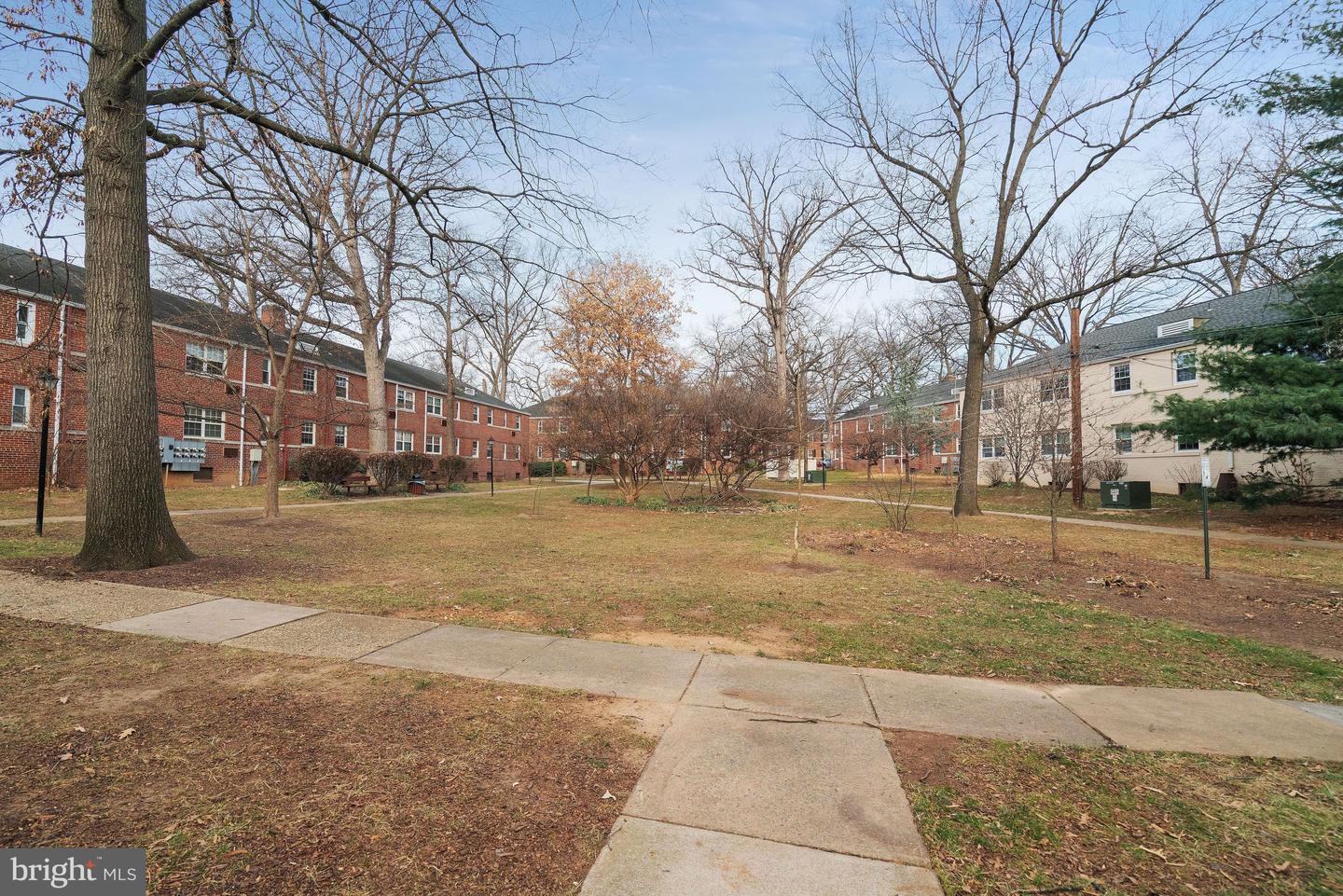 107 N GEORGE MASON DR N #4, ARLINGTON, Virginia 22203, 2 Bedrooms Bedrooms, ,1 BathroomBathrooms,Residential,For sale,107 N GEORGE MASON DR N #4,VAAR2067344 MLS # VAAR2067344 107 N GEORGE MASON DR N #4, ARLINGTON, Virginia 22203, 2 Bedrooms Bedrooms, ,1 BathroomBathrooms,Residential,For sale,107 N GEORGE MASON DR N #4,VAAR2067344 MLS # VAAR2067344