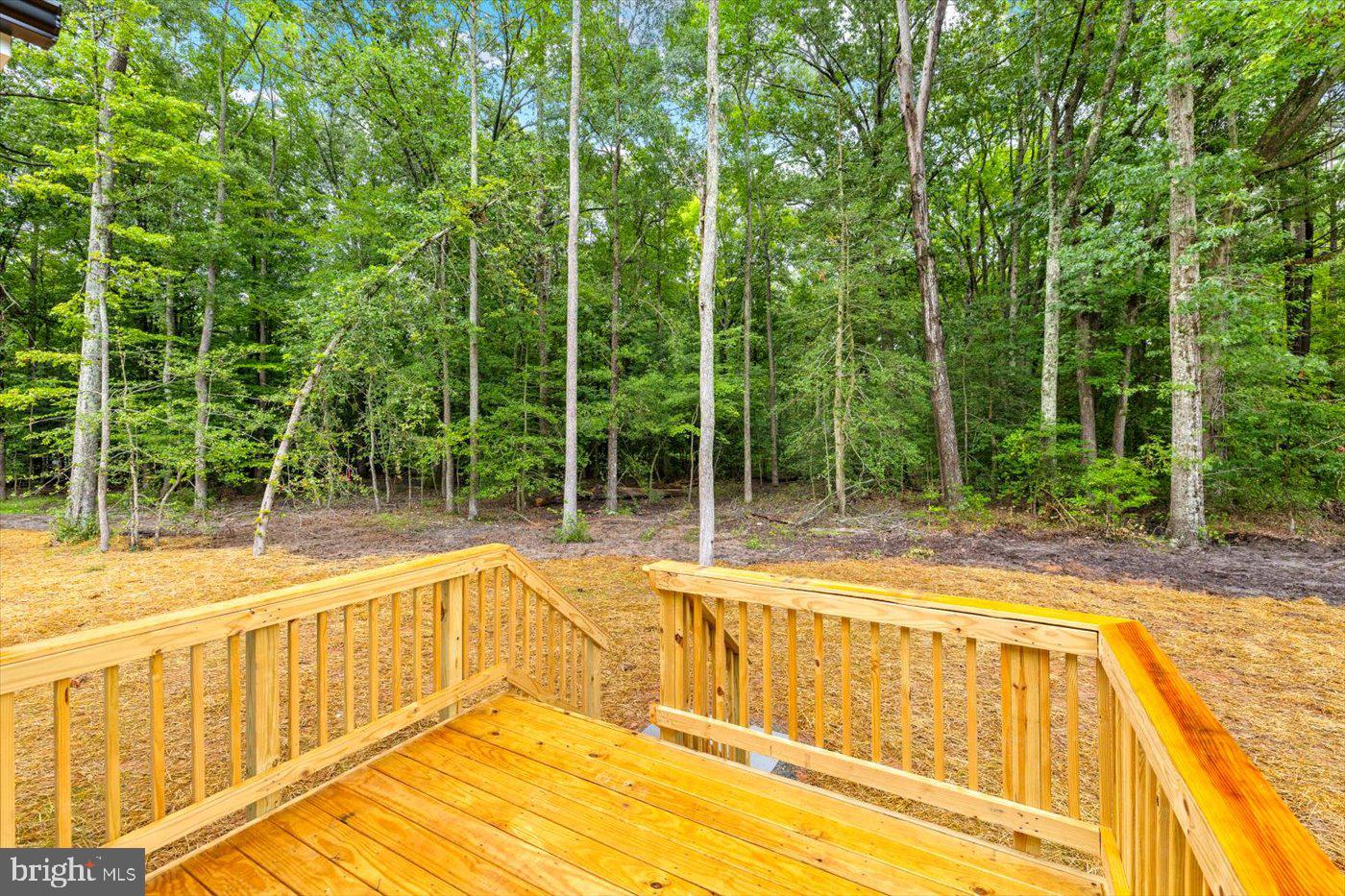 62 ROSE WAY, COLONIAL BEACH, Virginia 22443, 3 Bedrooms Bedrooms, ,2 BathroomsBathrooms,Residential,For sale,62 ROSE WAY,VAWE2010328 MLS # VAWE2010328