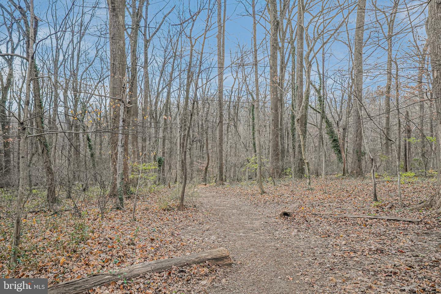 4000 TUNLAW RD NW #811, WASHINGTON, District Of Columbia 20007, 1 Bedroom Bedrooms, ,1 BathroomBathrooms,Residential,For sale,4000 TUNLAW RD NW #811,DCDC2240064 MLS # DCDC2240064 4000 TUNLAW RD NW #811, WASHINGTON, District Of Columbia 20007, 1 Bedroom Bedrooms, ,1 BathroomBathrooms,Residential,For sale,4000 TUNLAW RD NW #811,DCDC2240064 MLS # DCDC2240064