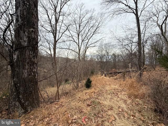 521 NORTHERN SPY DR, LINDEN, Virginia 22642, 4 Bedrooms Bedrooms, ,3 BathroomsBathrooms,Residential,For sale,521 NORTHERN SPY DR,VAWR2013058 MLS # VAWR2013058