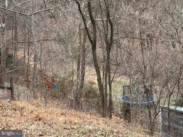 521 NORTHERN SPY DR, LINDEN, Virginia 22642, 4 Bedrooms Bedrooms, ,3 BathroomsBathrooms,Residential,For sale,521 NORTHERN SPY DR,VAWR2013058 MLS # VAWR2013058