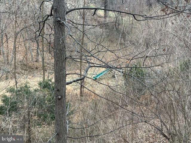 521 NORTHERN SPY DR, LINDEN, Virginia 22642, 4 Bedrooms Bedrooms, ,3 BathroomsBathrooms,Residential,For sale,521 NORTHERN SPY DR,VAWR2013058 MLS # VAWR2013058