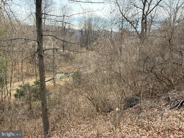 521 NORTHERN SPY DR, LINDEN, Virginia 22642, 4 Bedrooms Bedrooms, ,3 BathroomsBathrooms,Residential,For sale,521 NORTHERN SPY DR,VAWR2013058 MLS # VAWR2013058